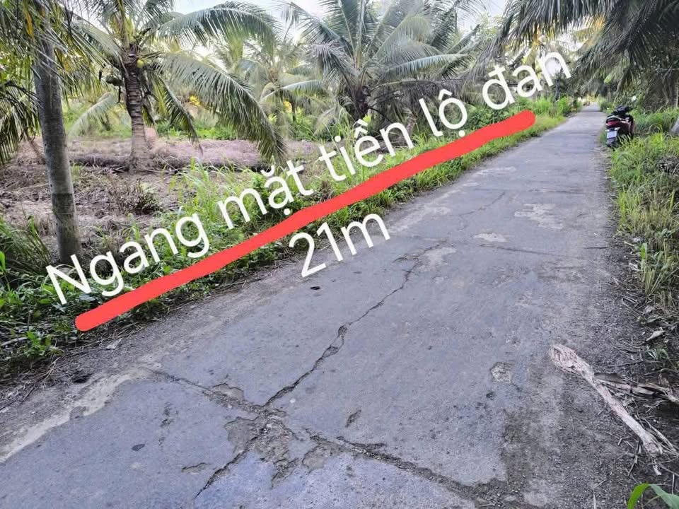 Đất nền Mỹ Hòa Ba Tri 1.017m² giá 650 triệu - Kinh doanh thuận lợi!