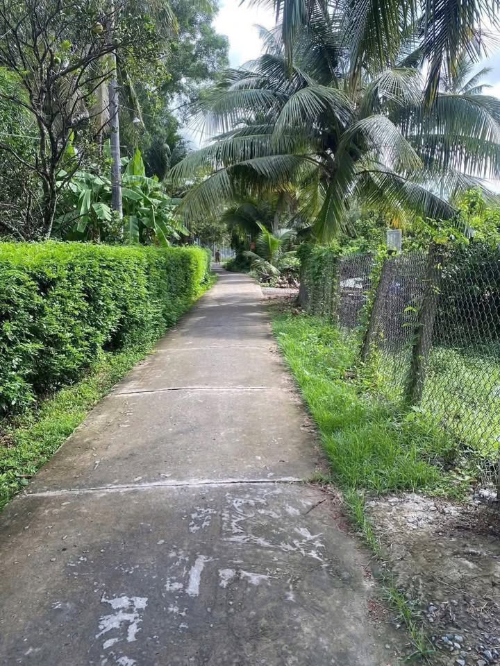 Đất thổ cư Ấp Giồng Trôm 1076m² giá chỉ 1.5 tỷ - Đầu tư sinh lời cao!