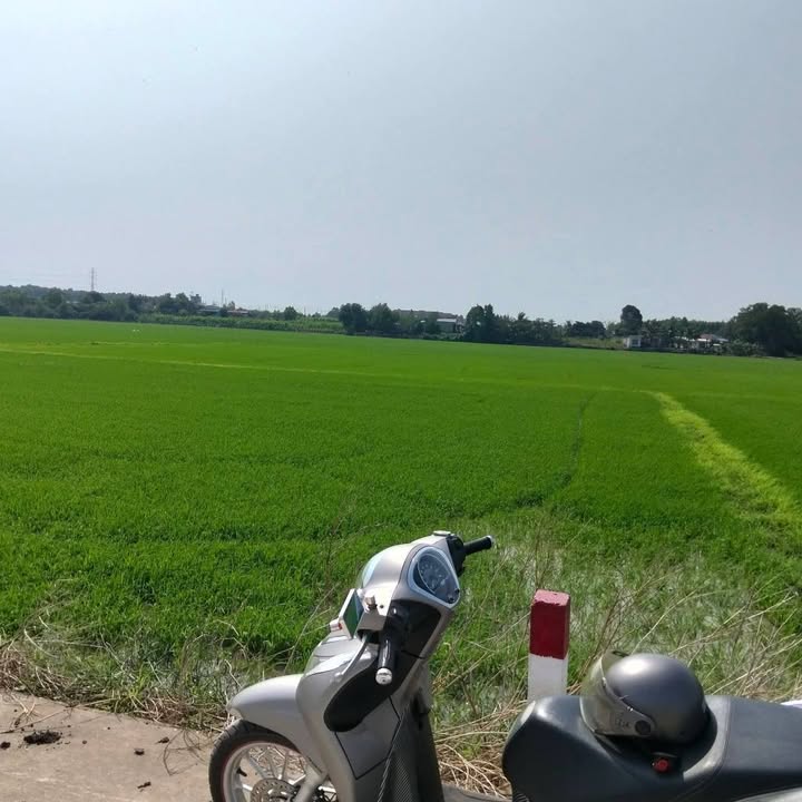 Đất nền 3528m² xã Phước Hải - Bà Rịa - Vũng Tàu giá chỉ 2.646 tỷ - Đầu tư sinh lời!