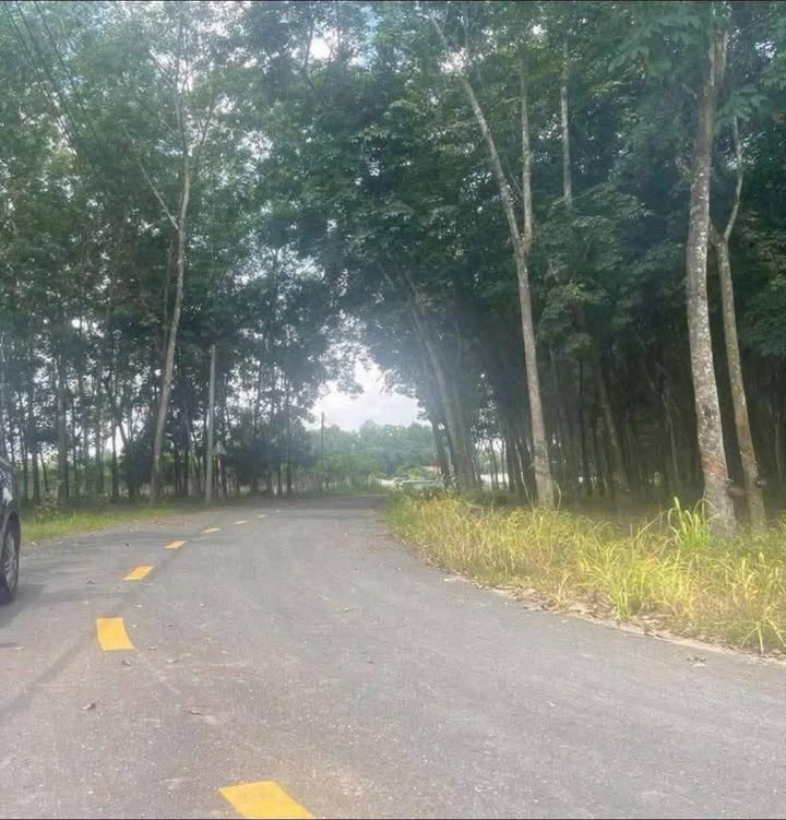 Đất SKC Vĩnh Tân 1,7ha giá 51 tỷ - Cơ hội đầu tư tuyệt vời!