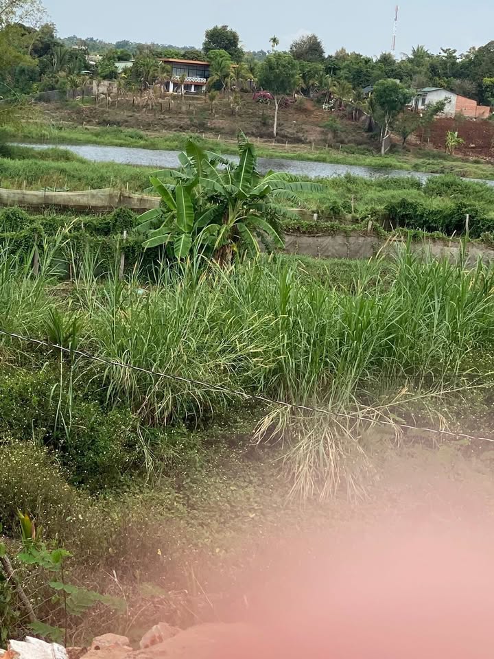 Đất nền thổ cư Thị Trấn Ea Pốk 574m² - Pháp lý rõ ràng, ô tô vào tận nơi!