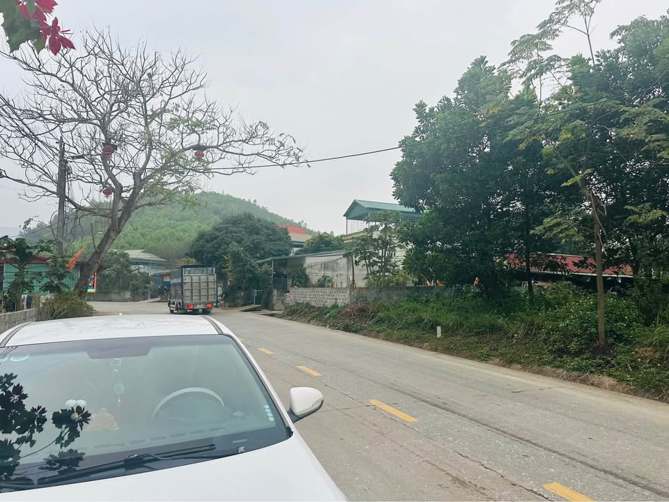 Đất nền mặt tiền 20m tại Yên Sơn, Thanh Sơn, 800m² - Đầu tư sinh lời ngay!