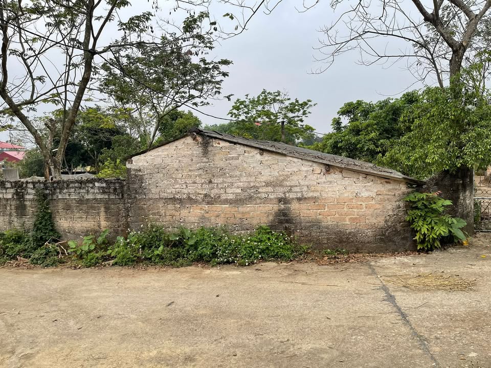 Đất nền Thôn Chiềng, xã Tân Sỏi, 170m² giá 700 triệu - Sổ đỏ chính chủ!