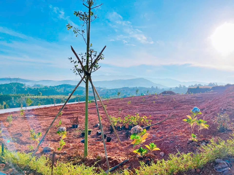 Đất nền 781m² tại Bảo Lộc - Giá chỉ 2 tỷ - Đầu tư lý tưởng!