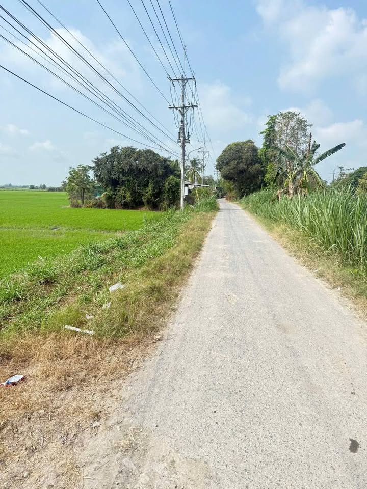 Đất 26.000m² Xã Thoại Giang, Huyện Thoại Sơn - Giá chỉ 4.55 tỷ - Mặt tiền 60m