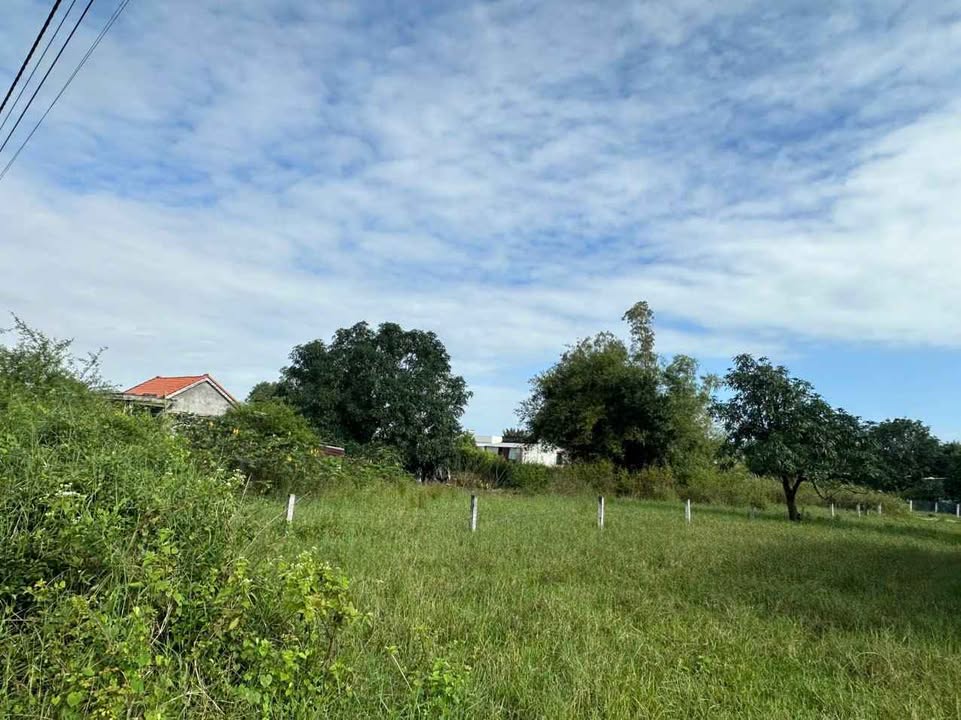 Đất nền Tân Hiệp, Huyện Hớn Quản 300m² giá 2.8 tỷ - Sổ đỏ chính chủ, ô tô vào thoải mái!