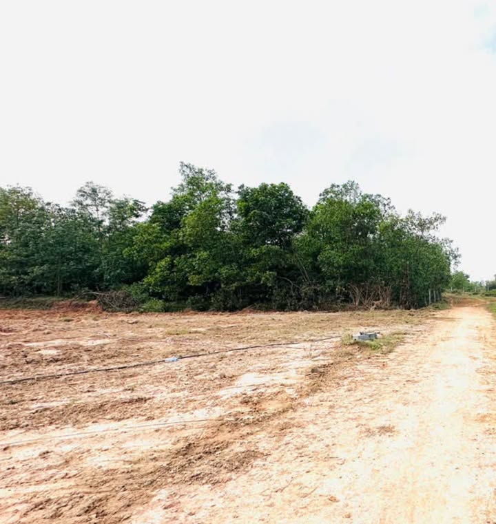 Đất nền Xuân Hưng, Huyện Xuân Lộc 900m² giá 1.7 tỷ - Phân lô hoặc làm nhà vườn lý tưởng!