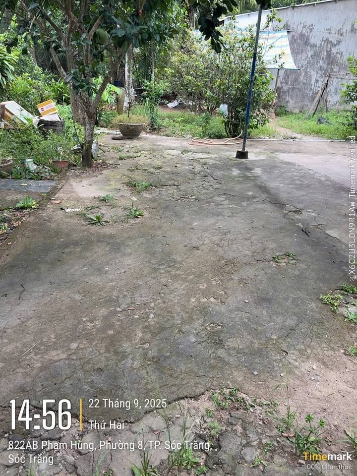 Vườn nghỉ dưỡng Mặt Tiền Phạm Hùng, Phường 8, 1200m² giá 2 tỷ - Cơ hội đầu tư tuyệt vời!