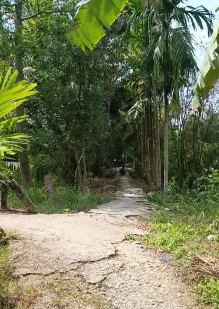 Đất vườn 2100m² tại Ba Trinh, Kế Sách, Sóc Trăng - Giá chỉ 300 triệu!