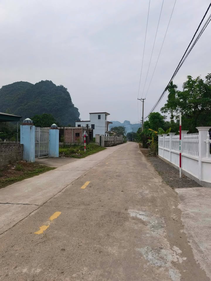 Đất nền Xã Thạch Bình 300m² - Đường to rộng đẹp, thỏa thuận giá!