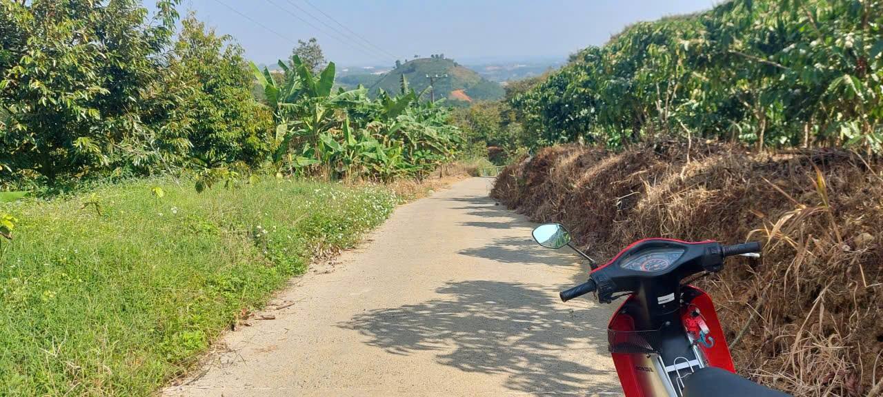 Đất nền thổ cư Xã Đại Lào 2160m² giá 1.1 tỷ - Bán gấp trước Tết!