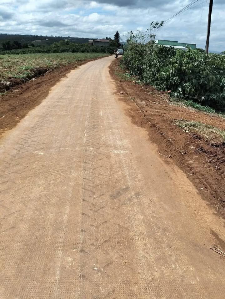 Đất Farm 2ha thôn Đức Bình, Hoài Đức giá 10 tỷ - Đầu tư sinh lời lý tưởng!