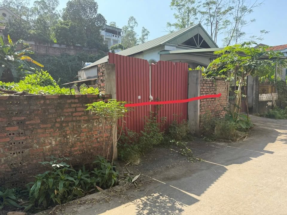 Đất nền chính chủ tại Đường Nguyễn Du, Việt Trì 128m² - Giá tốt 4.864 tỷ