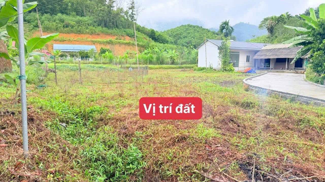 Đất nền xã Đồng Lạc, huyện Yên Lập, 583m² giá 300 triệu - Sổ đỏ chính chủ