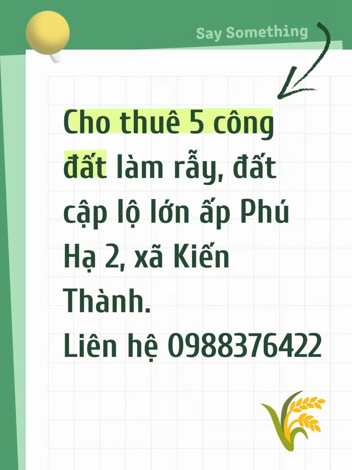 Đất rẫy 5000m² tại Ấp Phú Hạ 2, Xã Kiến Thành - Cho thuê giá thỏa thuận!