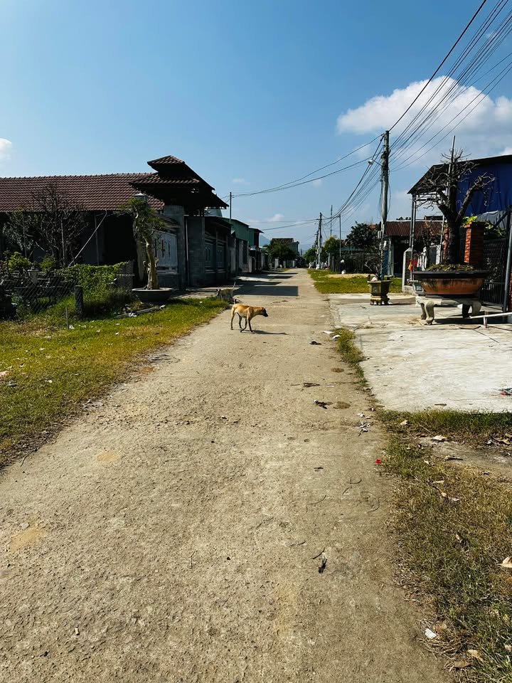 Đất nền Tây Phú, Tây Sơn 150m² giá chỉ 700 triệu - Cơ hội đầu tư vàng!