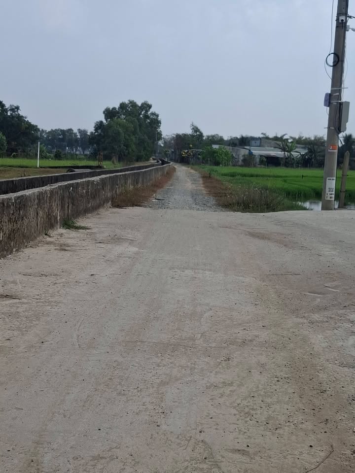 Đất nền ấp Giồng Lớn, Xã Mỹ Hạnh Nam 2520m² giá 6.3 tỷ - Đầu tư sinh lời hấp dẫn!