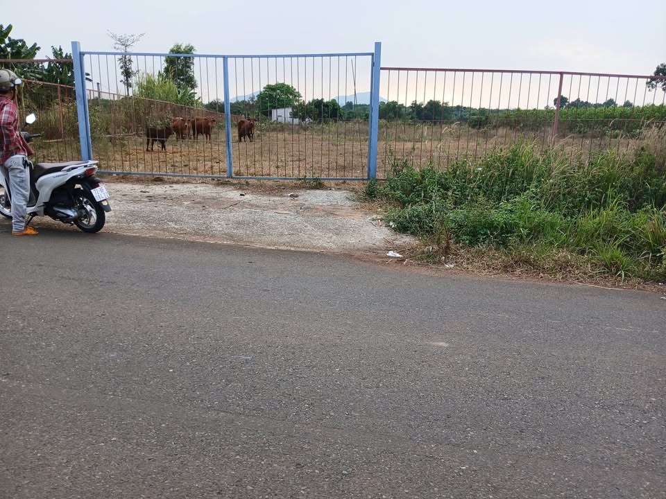 Đất nền 14400m² tại Ấp Cầu Ri, Tân Thành, giá 12 tỷ - Đầu tư sinh lời ngay!