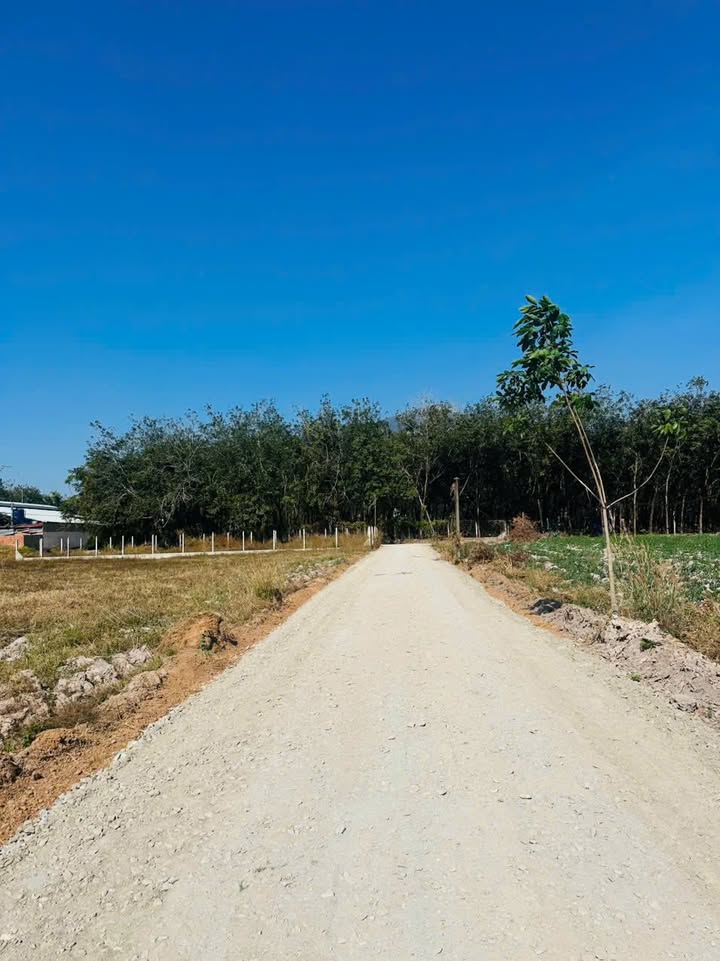 Đất nền xã Phan, huyện Dương Minh Châu 145m² - Sát chợ và trường học