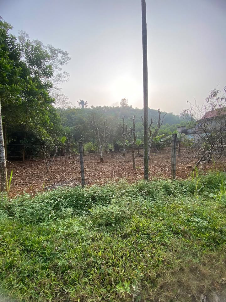 Đất nền Xã Yên Bình 155m² giá 600 triệu - Sổ đỏ chính chủ!