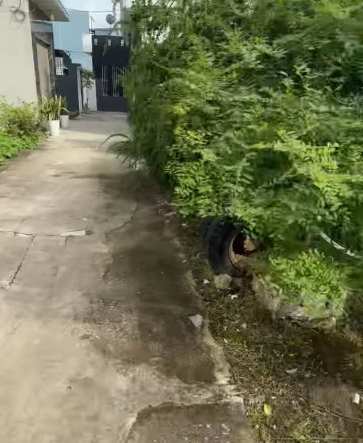 Đất lô góc An Đồng Hải Phòng 52,9m² giá 2 tỷ - Ô tô vào tận cửa!