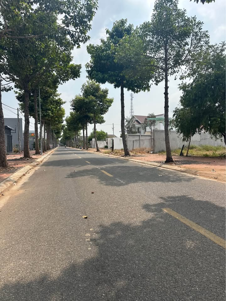 Đất mặt tiền đường D8 Thị trấn Long Điền 100m² giá 2.2 tỷ - Cơ hội đầu tư tuyệt vời!