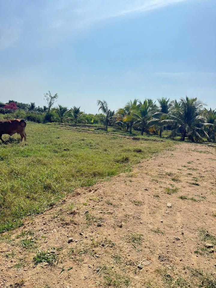 Đất nền Phú Trinh, Phan Thiết 2300m² giá 850 triệu - Sổ đỏ chính chủ, nhanh tay kẻo lỡ!