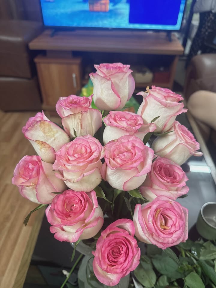 Nhà cấp 4 Vĩnh Khê, 62m² giá 1.65 tỷ - Cơ hội đầu tư hiếm có!