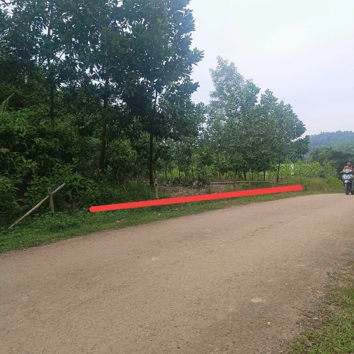 Đất thổ cư 425m² tại Xã Nguyệt Ấn, Huyện Ngọc Lặc giá 500 triệu - Cơ hội đầu tư hấp dẫn!