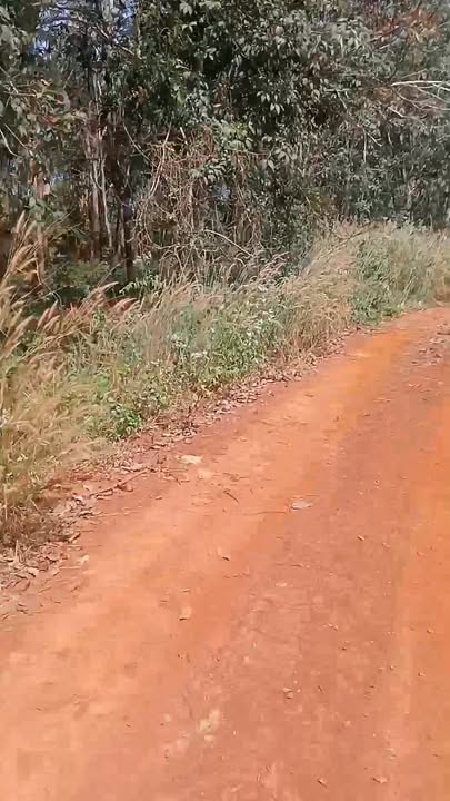 Đất nền 360m² mặt đường hiển thị, xã Xuân Tâm, giá 480 triệu - Cần bán gấp!