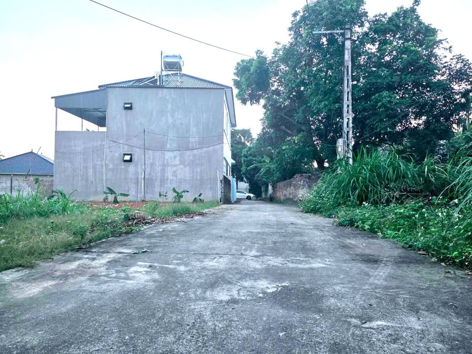 Đất nền tại Thị trấn Kim Long, Huyện Tam Dương 104m² giá chỉ 9xx triệu - Cơ hội đầu tư tuyệt vời!