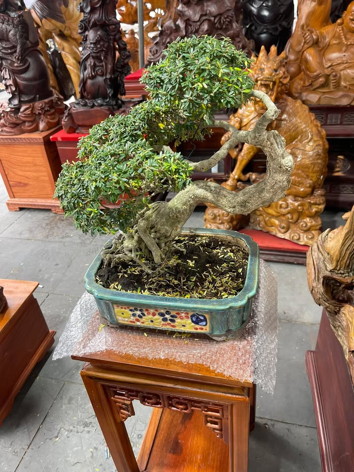 Đất nền Khu 26ha Phú Xuân Thái Bình 71m² - Giá đầu tư chỉ 2 tỷ!