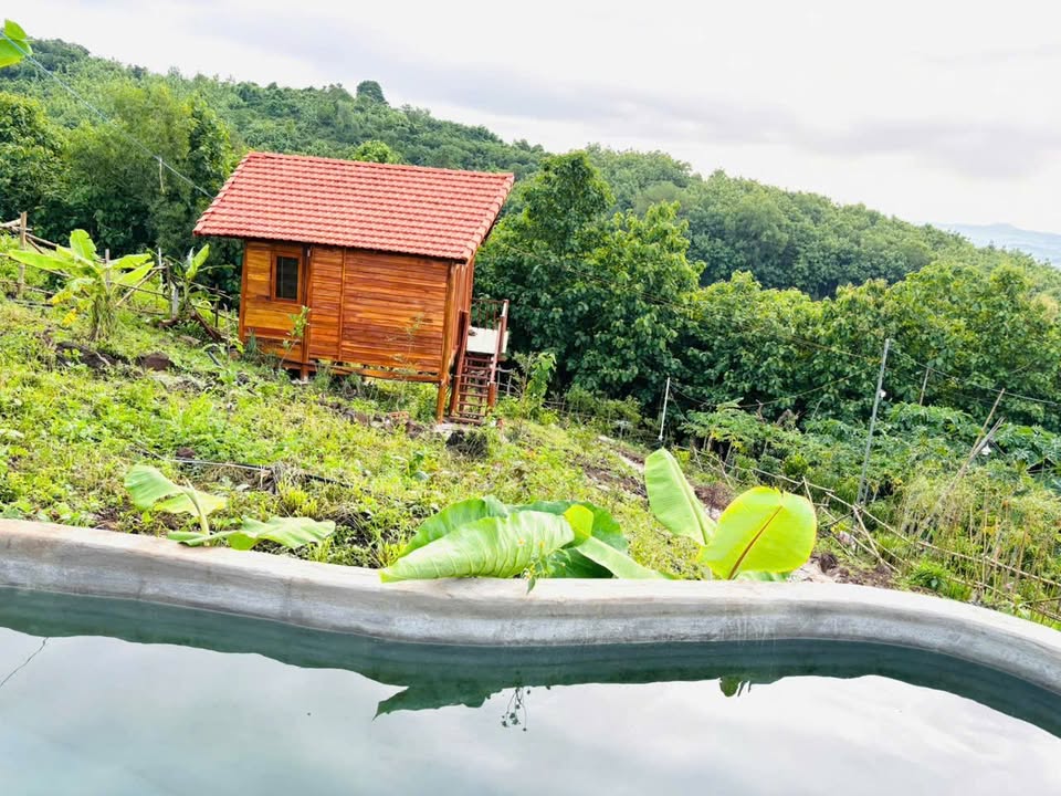 Lô đất vườn xã Trị An 1504m² giá chỉ 733 triệu - Đầu tư sinh lời ngay!