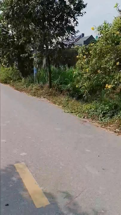 Đất nền 165m², mặt tiền đường Nhựa Rừng Dầu, giá 1.65 tỷ - Cơ hội đầu tư hấp dẫn!