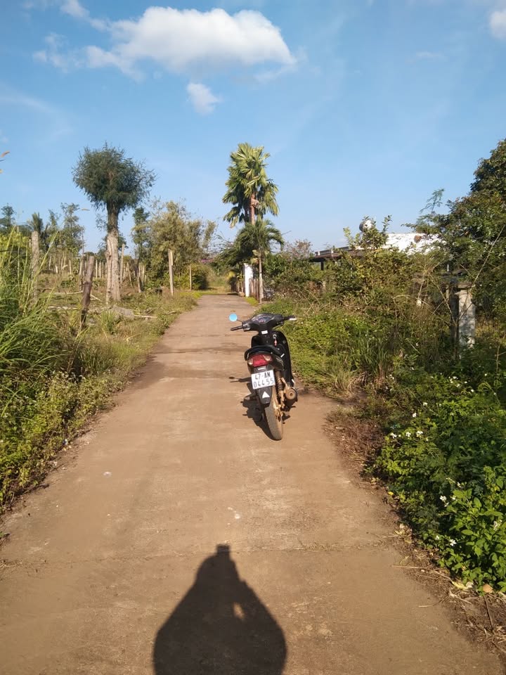 Đất nền thôn Phước Lộc, xã Tam Giang 181m² giá chỉ 360 triệu - Đầu tư sinh lời ngay!