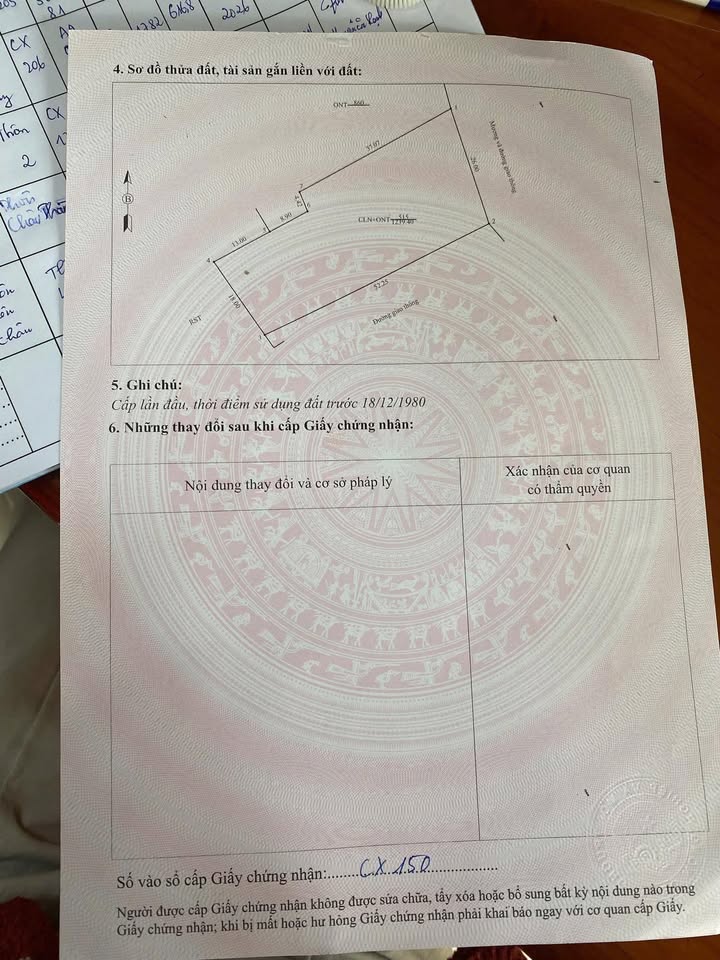 Đất nền 1000m² tại Thị trấn Triệu Sơn - Mặt tiền liên xã, giá đầu tư hấp dẫn!