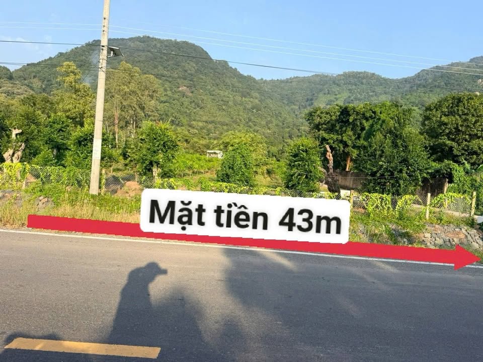 Đất nông nghiệp 20 công An Cư Tịnh Biên 200.000m² - Giá thỏa thuận hấp dẫn!