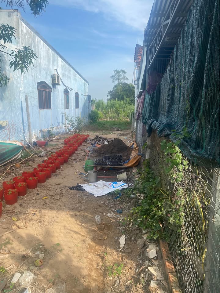 Đất nền Phú Thuận, Thoại Sơn 200m² giá 1 tỷ - Đầu tư sinh lời ngay!