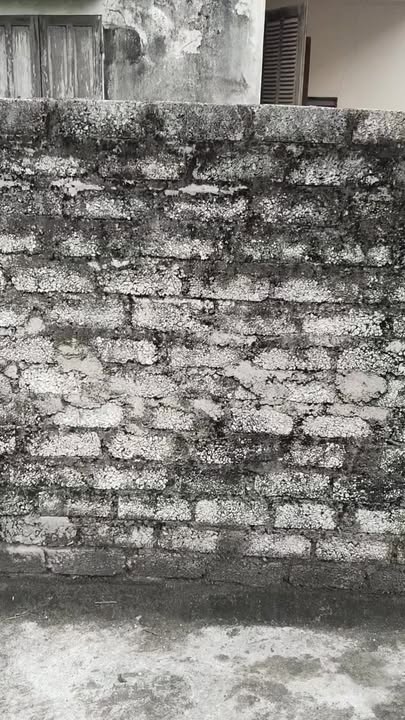 Đất nền góc 2 mặt tiền tại xóm 6, xã Quỳnh Phú, 250m² giá 1 tỷ - Cơ hội đầu tư tuyệt vời!