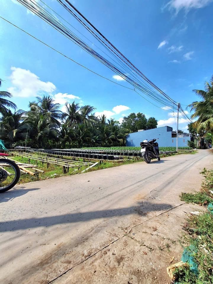 Đất nền 72m² khu tái định cư sân bay Cần Thơ - Giá sốc chỉ 900 triệu!