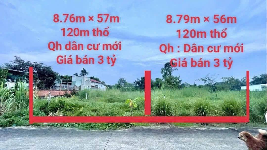 Đất nền Tân Thông Hội, Củ Chi 501.4m² giá 3 tỷ - Cơ hội đầu tư lý tưởng!