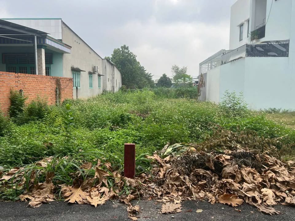 Đất nền 150m² tại Xã Tân Thạnh Đông, Củ Chi chỉ 2.25 tỷ - Đường nhựa thông tứ hướng!