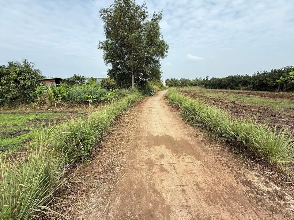 Đất nền 614m² tại Ấp 2, Xã Lộ 25, Trảng Bom - Giá chỉ 600 triệu!