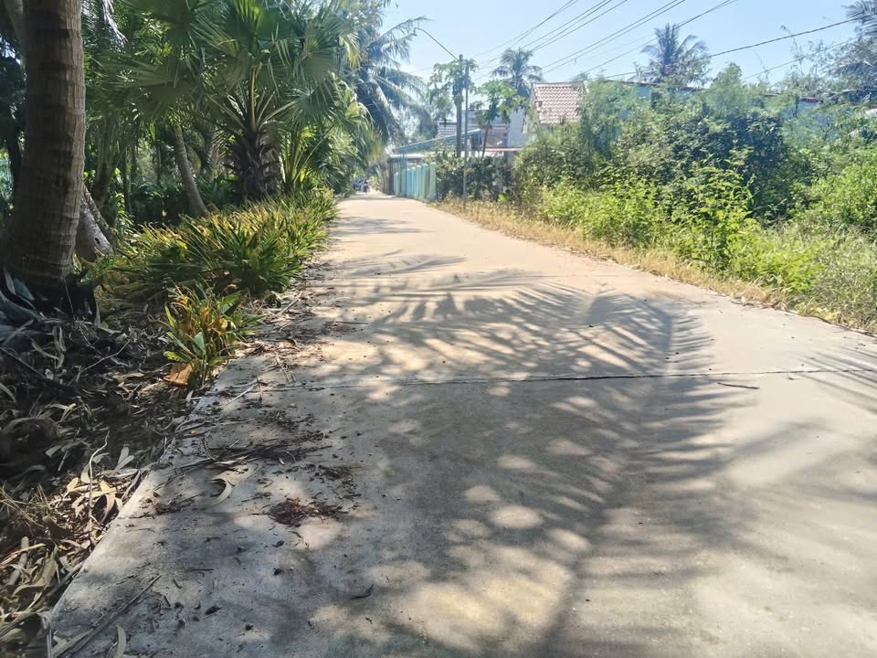 Đất nền 1650m² Ấp Bưng Lức, Xã Trần Đề, Sóc Trăng - Giá chỉ 2.2 tỷ!