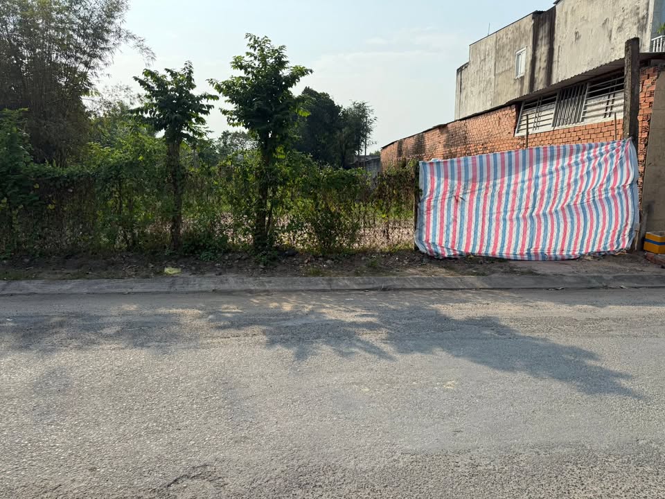 Đất mặt tiền Xuân Thới Sơn 125m² giá 4.6 tỷ - Chính chủ bán gấp!