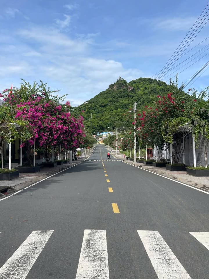 Đất nền Đại Phúc Legacy Tịnh Biên 90m² giá 499 triệu - Đầu tư sinh lời hấp dẫn!