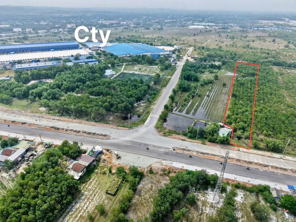 Đất nền khu công nghiệp Huế 8000m² giá chỉ 100 triệu - Cơ hội đầu tư hấp dẫn!