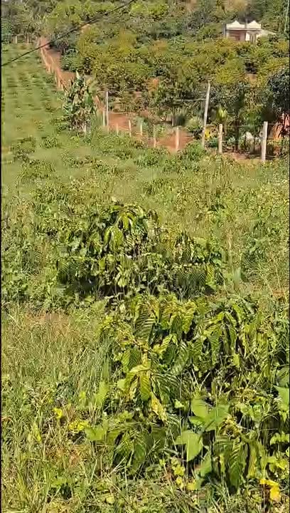 Đất nền 720m² tại Đan Phượng, Lâm Hà - Giá chỉ 1.5 tỷ, Bớt lộc cho người thiện chí!