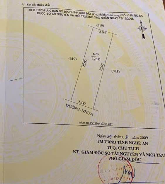 FrontHouse Vinh Vinh Handico 125m² giá 7 tỷ - Kinh doanh sầm uất ngay mặt đường!