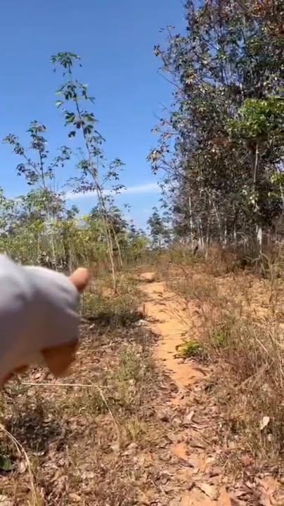 Đất Farm 3.8ha xã Hà Tây, huyện Chư Păh, Gia Lai - Giá chỉ 1.05 tỷ!